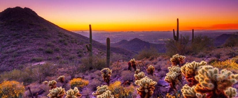 Chattanooga Tennessee Scavenger Hunt