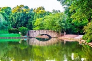 Charlotte Scavenger Hunt Events