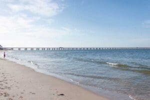 Virginia scavenger hunt activities