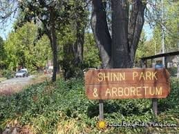 Fremont Scavenger Hunt Events