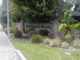 Gainesville Scavenger Hunt Events