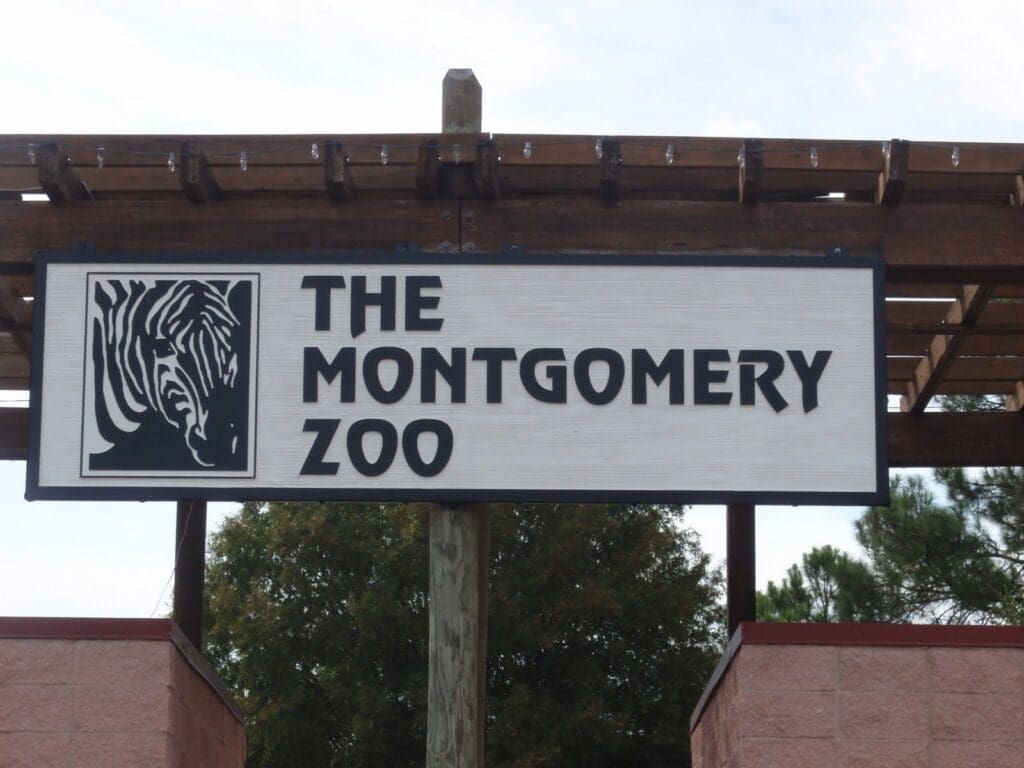 Montgomery Scavenger hunts