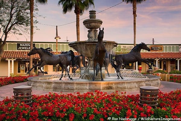 Scottsdale Scavenger Hunt